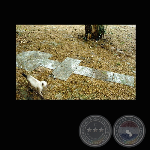 RAYUELA - PATIOS TRASEROS, 2001 - Obra de CLAUDIA CASARINO